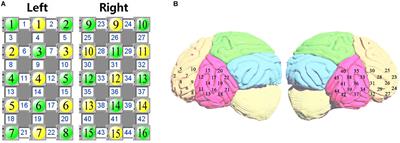 Prediction in Autism by Deep Learning Short-Time Spontaneous Hemodynamic Fluctuations